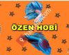 ÖZEN HOBİ
