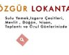 Özgür Lokantası