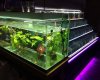 Özka Petshop Üsküdar