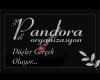 Pandoraorganizasyonetkinlik