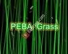 PEBA Grass