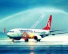 Pegasus-Anadolujet-Türk hava Yolları Maltepe Acentesi