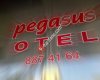 Pegasus OTEL