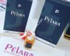 Pelara Point-Parfüm Gazipaşa