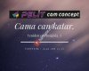 Pelit Cam Concept