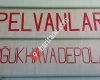PELVANLAR SOĞUK HAVA DEPOLARI