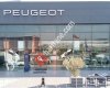 Peugeot Çetaş Büyükçekmece