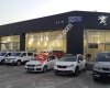Peugeot Ekin