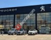 Peugeot OFZ Sivas