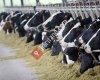 Pınarlı Tarım ve Çiftlik Ekipmanları