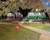 Pingala Glamping Caravan Hotel