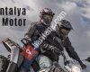 polarisantalya