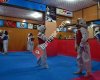 Polat Eğitim Kültür Taekwondo Spor Kulübü
