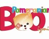 Pomeranian Boo İzmir - PBİ