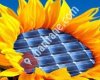 ** POWER ENERJİ ** Rüzgar Güneş Enerjisi Elektrik Üretimi Solar Panel Fiyatları 1 5 10 100 KW Çanakkale
