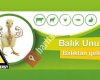 Power Feal - Balık Unu