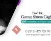 Prof. Dr. Gamze Sinem Çağlar