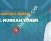Prof. Dr. Nurkan Törer
