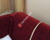 Ptt Evleri Mahallesi Muhtarlığı