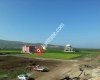 Ptt - Reyhanlı Şb.