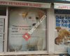 Puppy Veteriner Kliniği