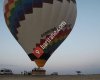 Rainbow Balloons
