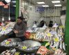 Reis Balık Market