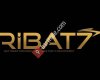 Ribat7 İnşaat &Profesyonel Tasarım ve Dekorasyon & İhracat