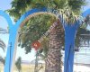 Safa Motel