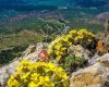 Sagalassos