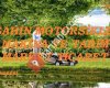 Şahin Motorsiklet Makina Ve Tarım Market Ticaret Konya/Kadınhanı