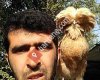 SAİD ÖZGÜL Tavukculuk