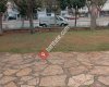 Sakarya Parkı