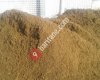 Salur Jandarma Karakol Komutanlığı