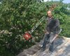 Saraçlı ahmet usta