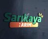 Sarıkaya Tarım Market