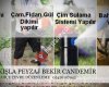 Şarkışla Peyzaj