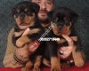 Satılık Rottweiler Yavruilanı