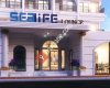Sealife Lounge Hotel