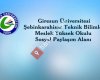 Şebinkarahisar Teknik Bilimler M.Y.O.