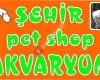 Şehir Pet Shop Akvaryum
