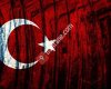 Şehit Talha Emre Zileligil İlkokulu/Ortaokulu