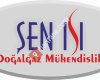 Sen Isi Saray