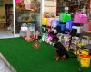 Senel Pet Shop