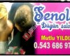 Şenola düğün salonu