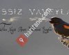 Sessiz Vaveyla