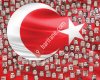 Seyitgazi Mesleki Ve Teknik Anadolu Lisesi