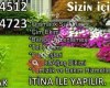 Sezer UÇAR Peyzaj