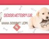 Sezer Veteriner