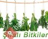Şifali Bitkiler Otlar Yağlar Macunlar
